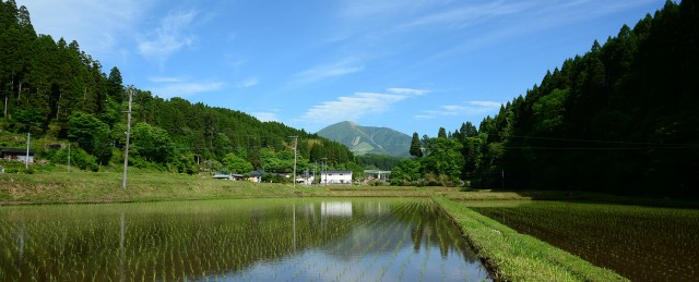 田植えあとの水田と涌蓋山