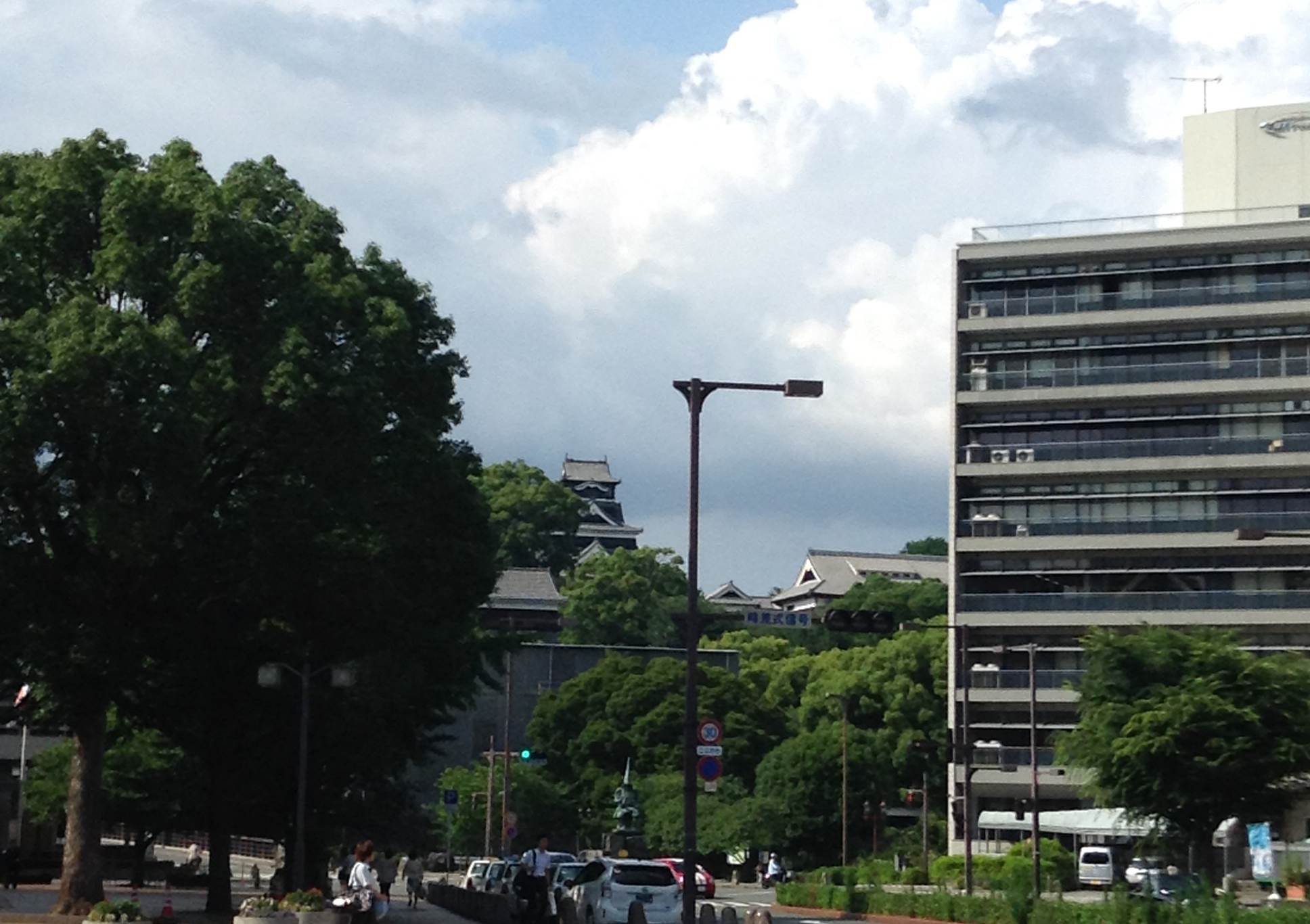遠くから見た熊本城